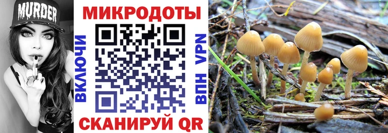 Псилоцибиновые грибы мухоморы Ворсма